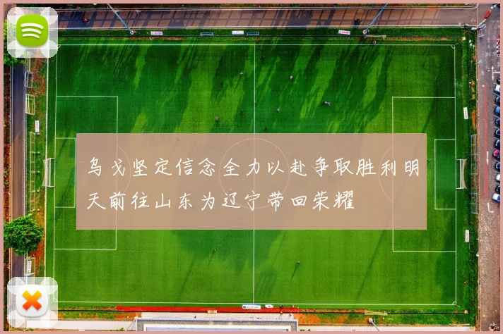 乌戈坚定信念全力以赴争取胜利明天前往山东为辽宁带回荣耀